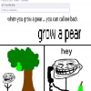 Grow a pear