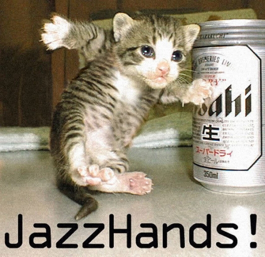 Jazz hands kitten
