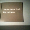 Please don't flash the octopus